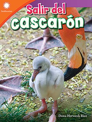 cover image of Salir del cascarón